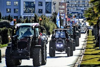 agrotes
